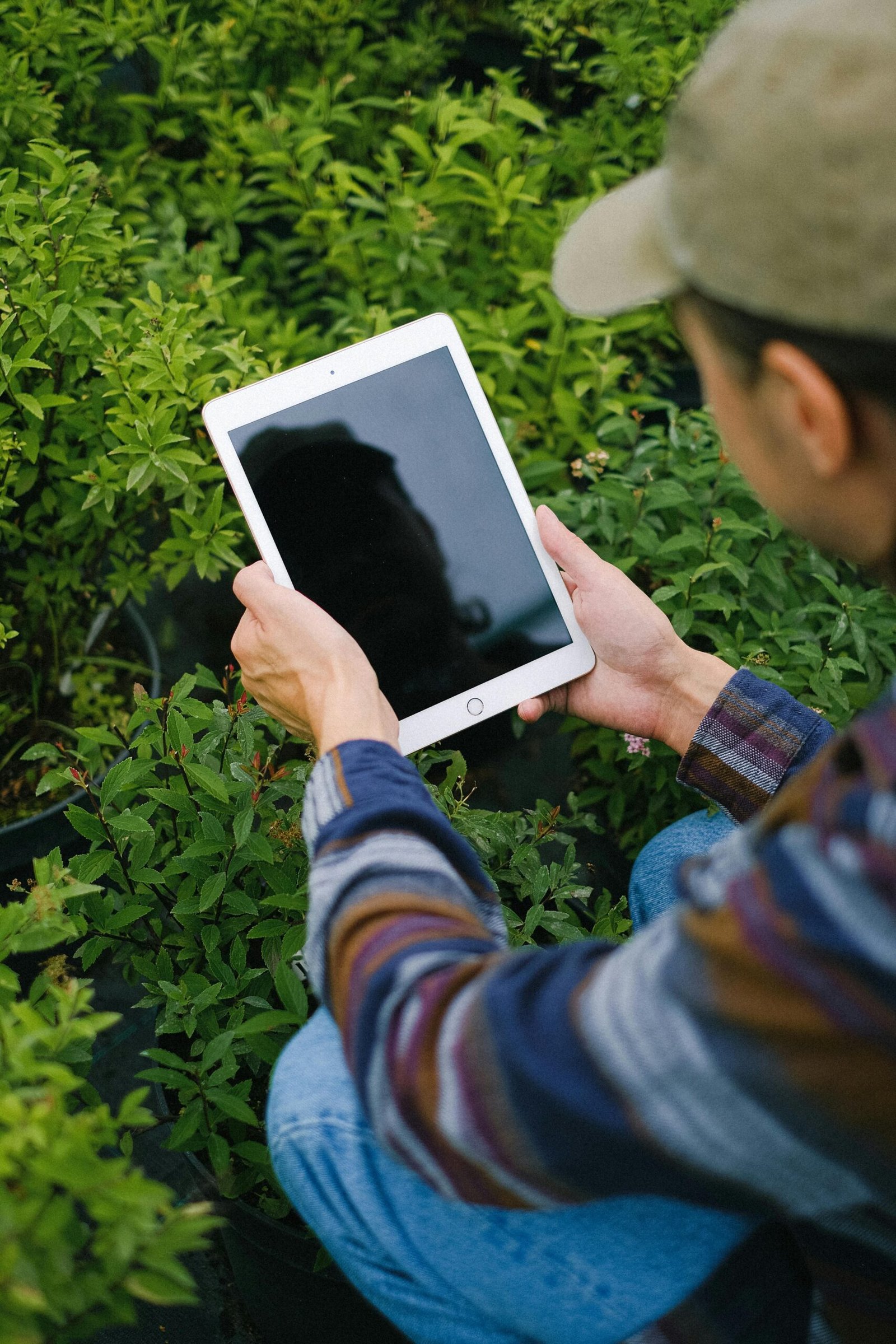 pexels photo 5230975 5230975 A young male gardener uses a tablet to manage plants in a greenhouse setting.
